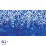 Papier Peint - Signum
