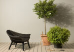 Fauteuil Manta
