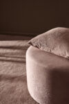Coussin Puncta