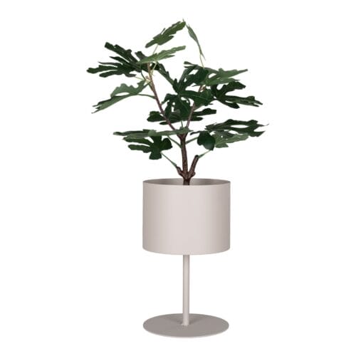 Pot Trofa